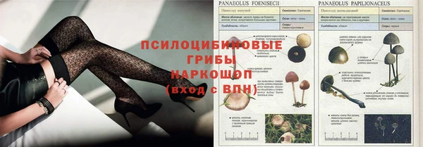 ГАЛЛЮЦИНОГЕННЫЕ ГРИБЫ Алзамай