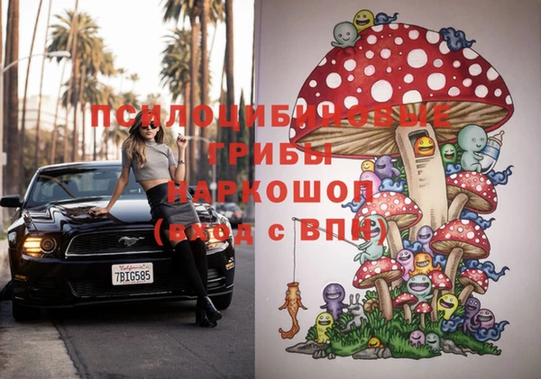 синтетический гашиш Алексин