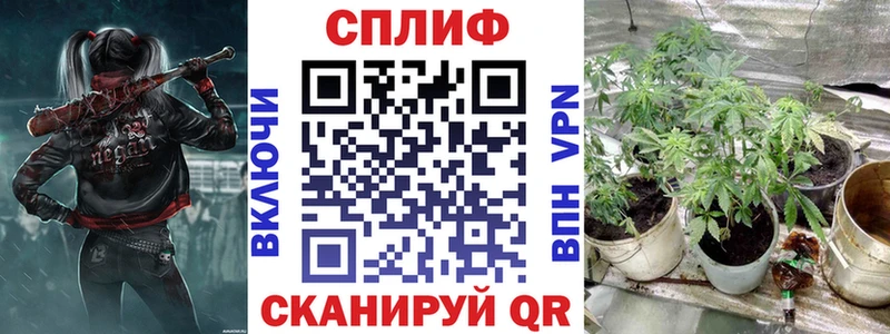 Бошки марихуана Amnesia Сосновый Бор